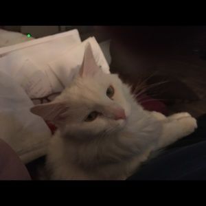 Meet your Posher, Patty